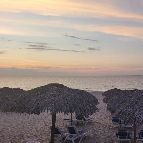 Meet your Posher, William - Picture 1 of 1